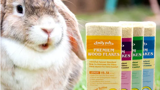 Emily Pets Pets Supply for Small Animal Wood Shaving Pet Products