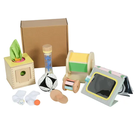Brinquedo de madeira Montessori brinquedo educacional caixa de assinatura para crianças idade 9-10 m